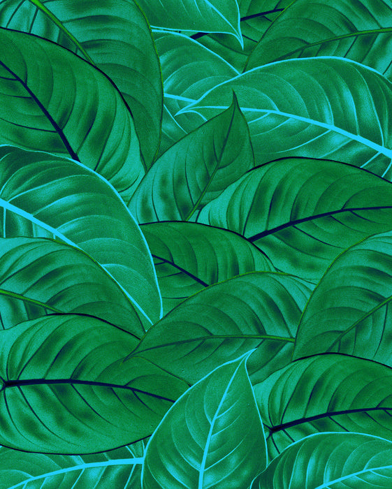 Digitaldruck Vlies Fototapete | Jungle Leaves | 200 x 250 cm