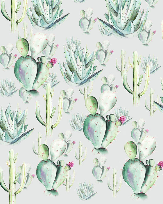Digitaldruck Vlies Fototapete | Cactus Grey