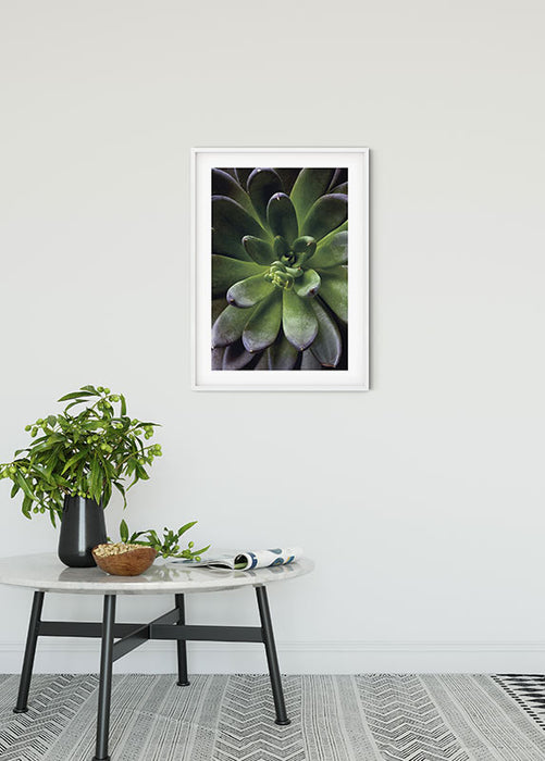 Wandbild - Succulent Single