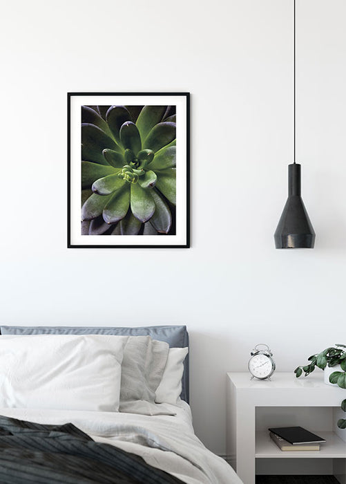 Wandbild - Succulent Single