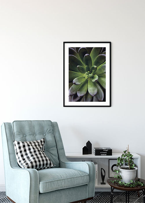 Wandbild - Succulent Single