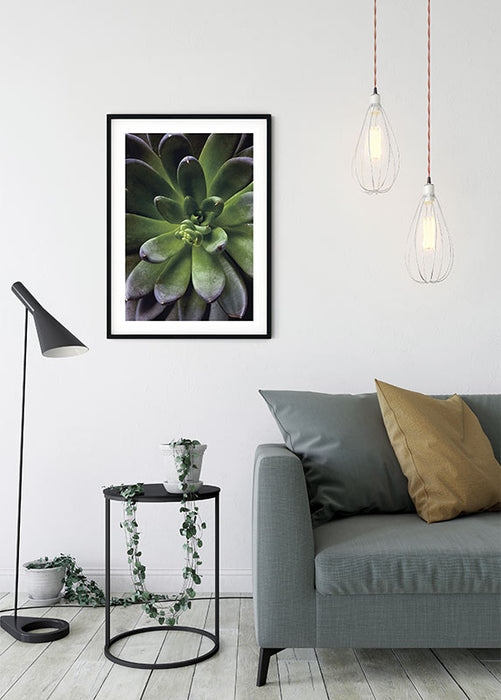 Wandbild - Succulent Single