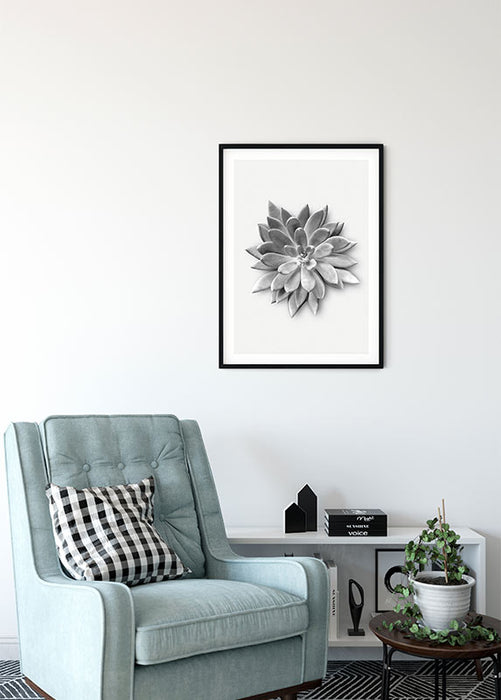 Wandbild - Succulent Agave