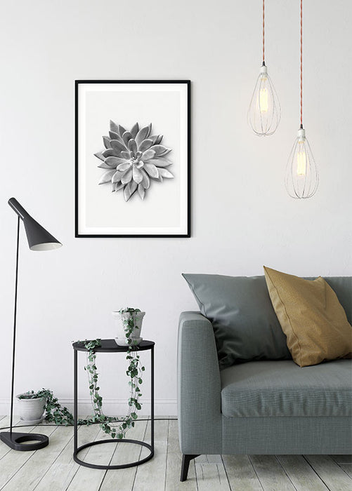 Komar NEU | Wandbild - Succulent Agave - Größe 30 x 40 cm