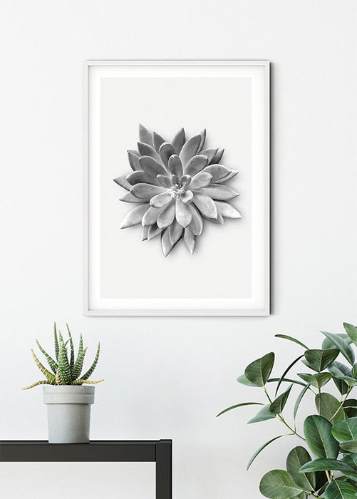 Wandbild - Succulent Agave