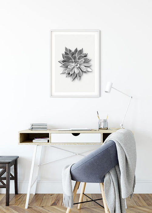 Wandbild - Succulent Agave