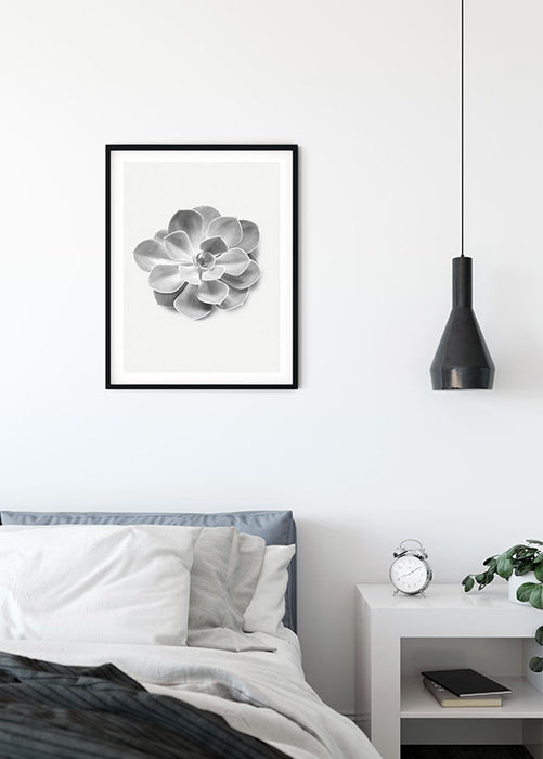 Komar NEU | Wandbild - Succulent Aeonium - Größe 40 x 50 cm