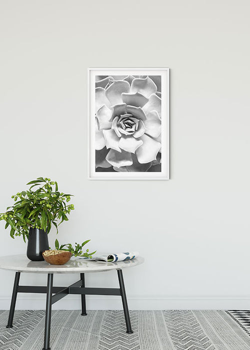 Wandbild - Succulent Closeup