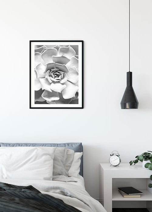 Wandbild - Succulent Closeup