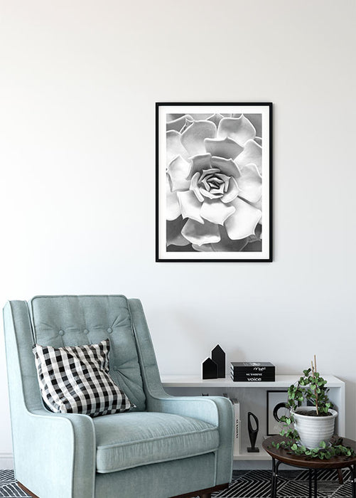 Komar NEU | Wandbild - Succulent Closeup - Größe 30 x 40 cm