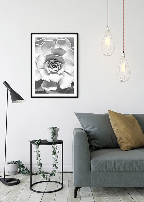 Komar NEU | Wandbild - Succulent Closeup - Größe 40 x 50 cm