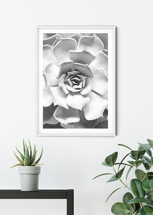 Komar NEU | Wandbild - Succulent Closeup - Größe 30 x 40 cm