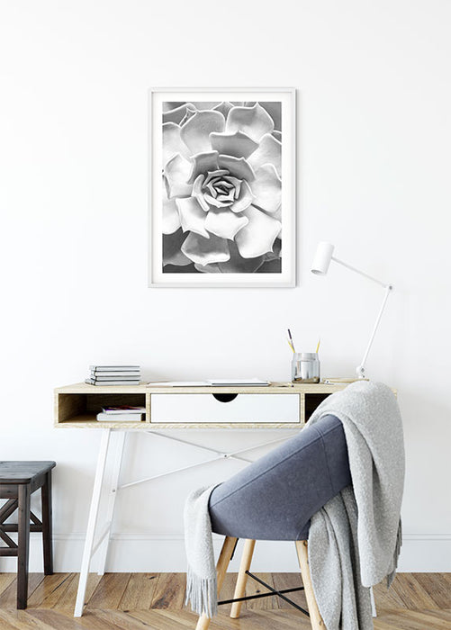 Komar NEU | Wandbild - Succulent Closeup - Größe 40 x 50 cm