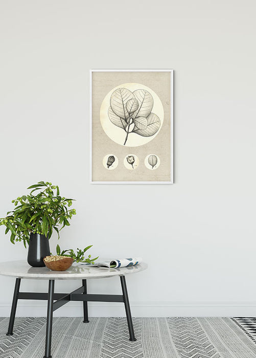 Wandbild - Transparent Leaf