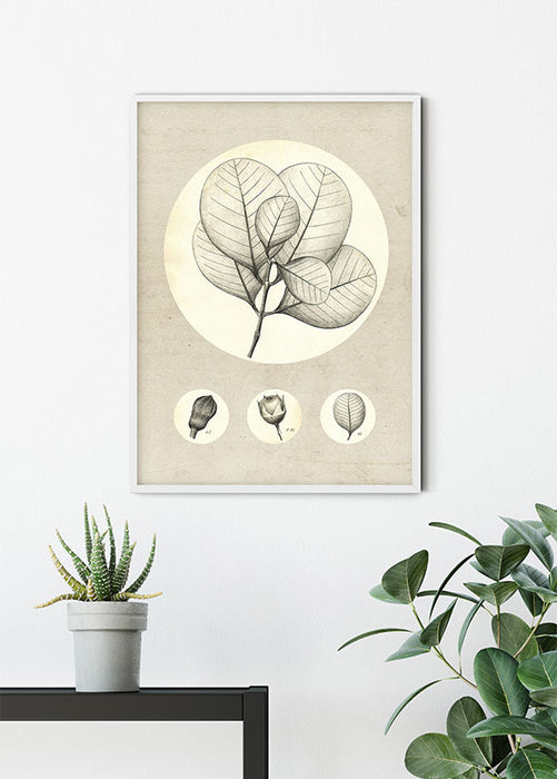 Wandbild - Transparent Leaf