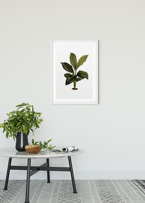 Komar NEU | Wandbild - Elastica Leaf - Größe 30 x 40 cm