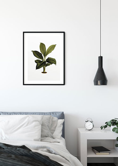Wandbild - Elastica Leaf