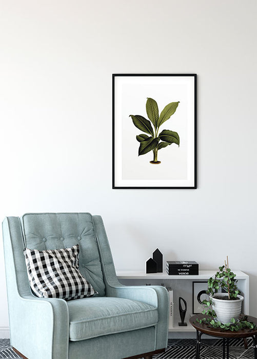 Wandbild - Elastica Leaf