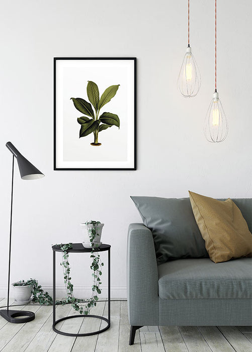 Wandbild - Elastica Leaf