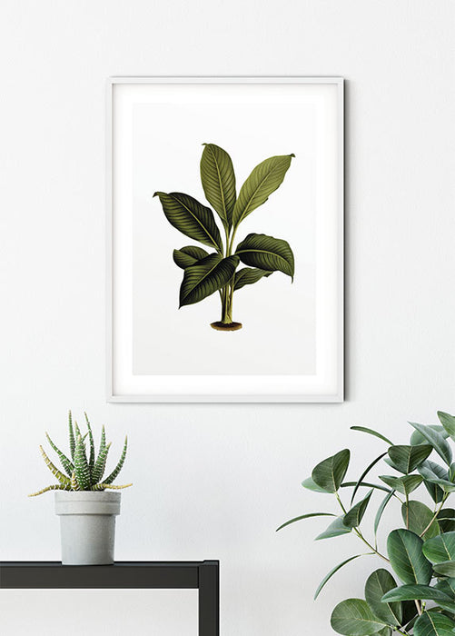 Wandbild - Elastica Leaf
