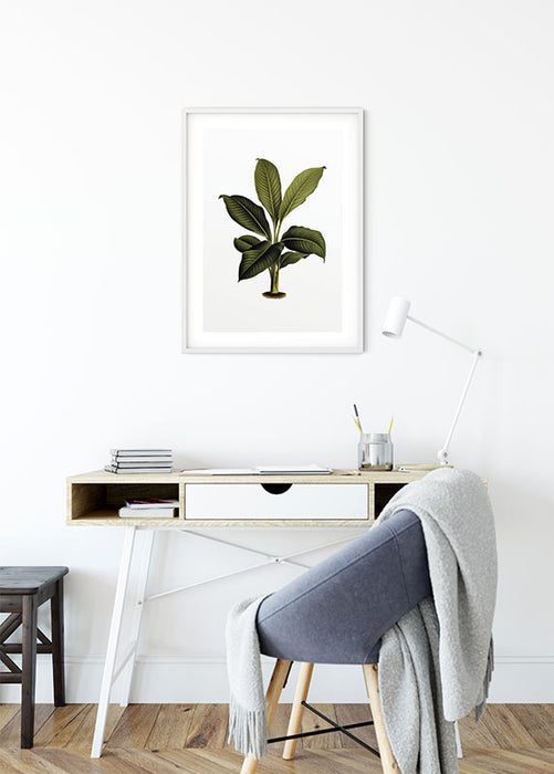 Wandbild - Elastica Leaf