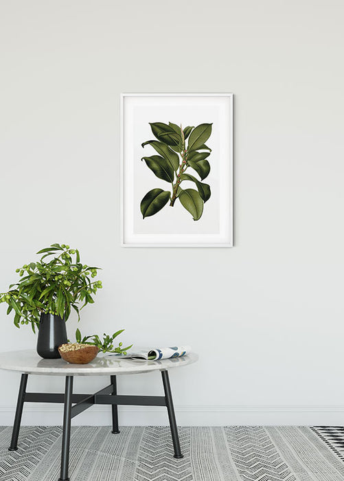 Wandbild - Elastica Tree