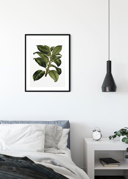 Komar NEU | Wandbild - Elastica Tree - Größe 40 x 50 cm