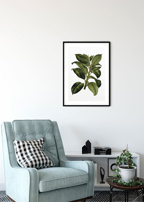 Wandbild - Elastica Tree