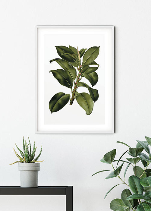 Wandbild - Elastica Tree