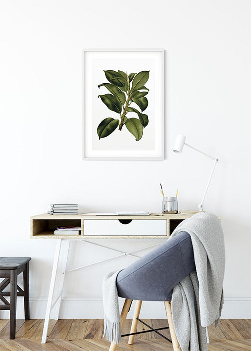 Wandbild - Elastica Tree