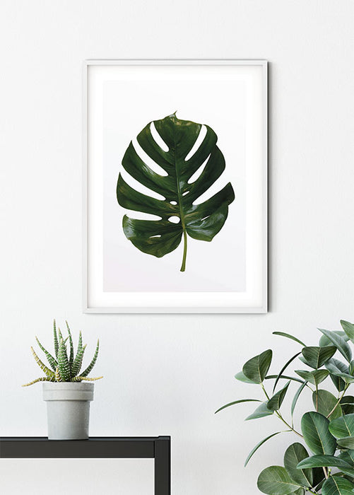 Komar NEU | Wandbild - Monstera Leaf - Größe 40 x 50 cm
