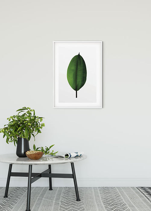 Wandbild - Ficus Leaf