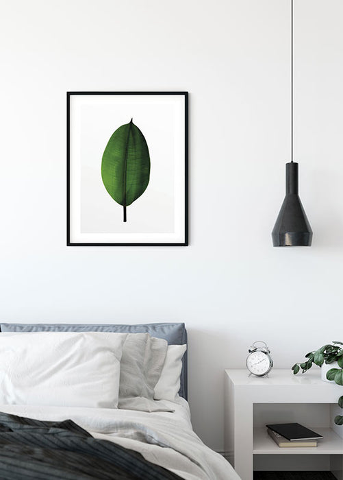 Wandbild - Ficus Leaf