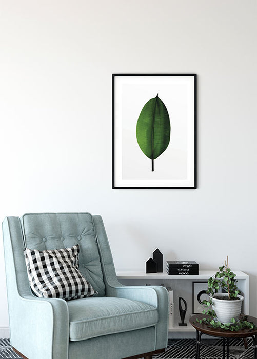 Wandbild - Ficus Leaf