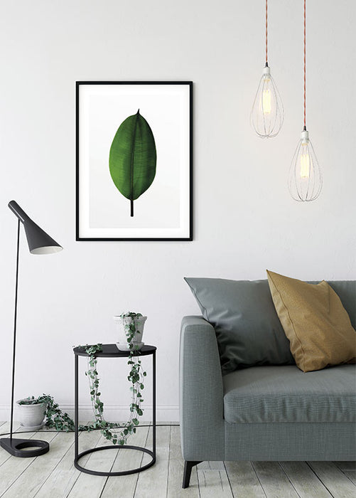 Wandbild - Ficus Leaf
