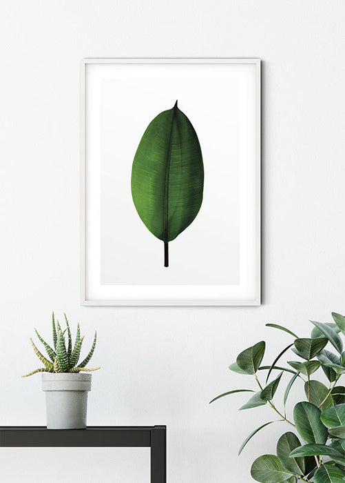 Wandbild - Ficus Leaf