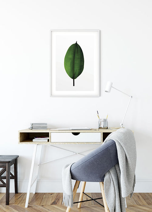 Wandbild - Ficus Leaf
