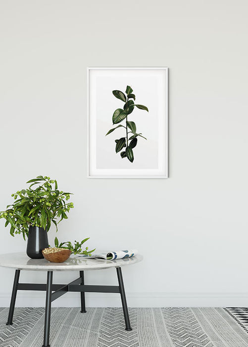 Komar NEU | Wandbild - Ficus Branch - Größe 30 x 40 cm