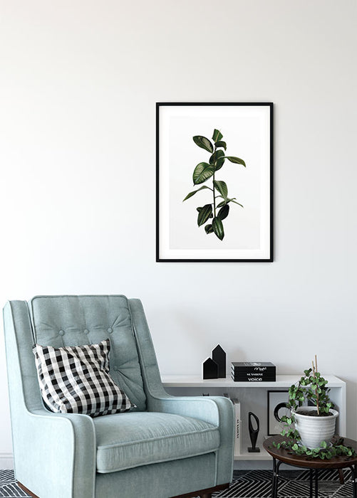 Komar NEU | Wandbild - Ficus Branch - Größe 50 x 70 cm