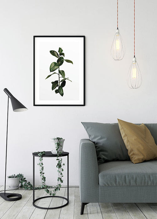 Komar NEU | Wandbild - Ficus Branch - Größe 50 x 70 cm