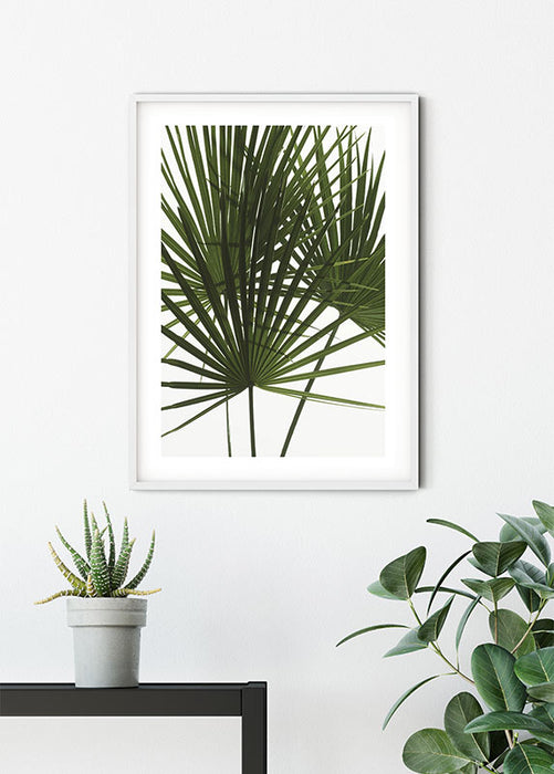 Komar NEU | Wandbild - Palmtree Leaves - Größe 30 x 40 cm