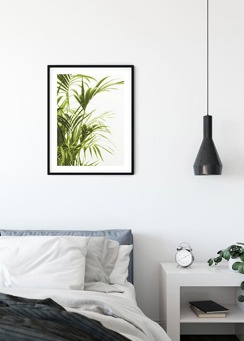 Wandbild - Reed Leaves