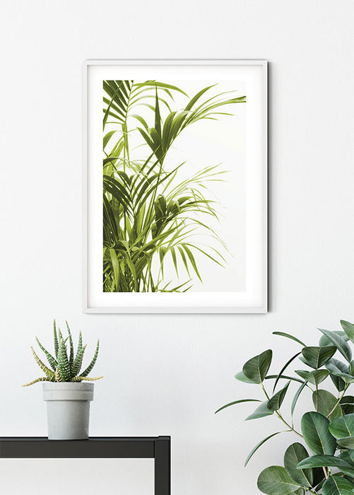 Wandbild - Reed Leaves