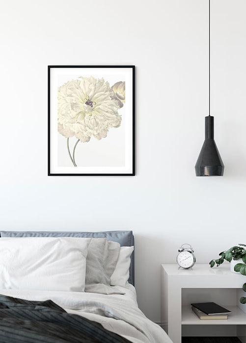 Wandbild - Illustration Dahlia