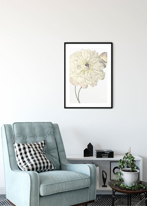 Wandbild - Illustration Dahlia