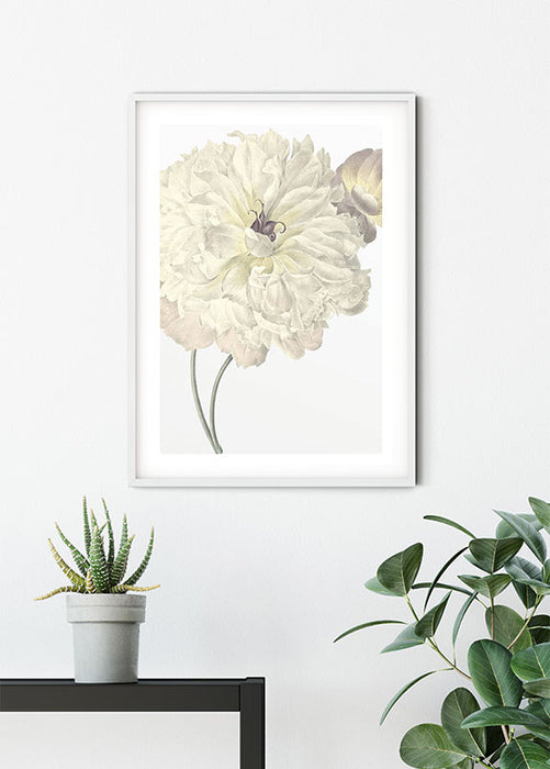 Wandbild - Illustration Dahlia