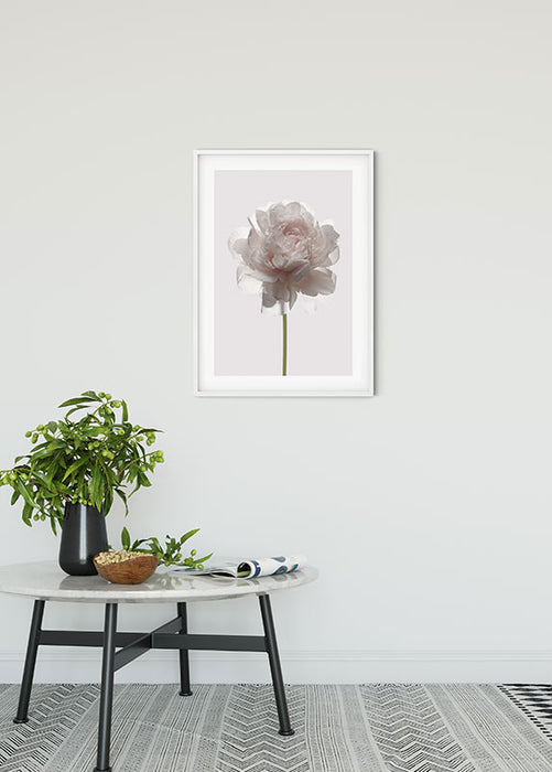 Wandbild - Rose