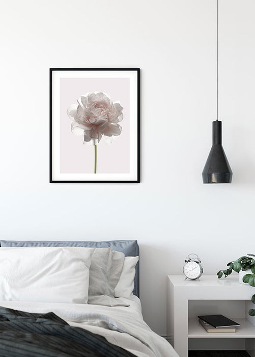 Wandbild - Rose