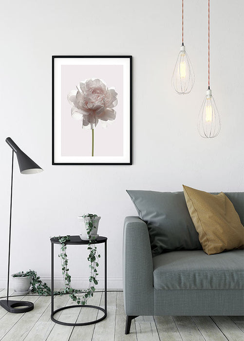 Wandbild - Rose
