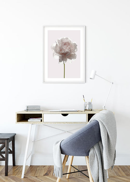 Wandbild - Rose